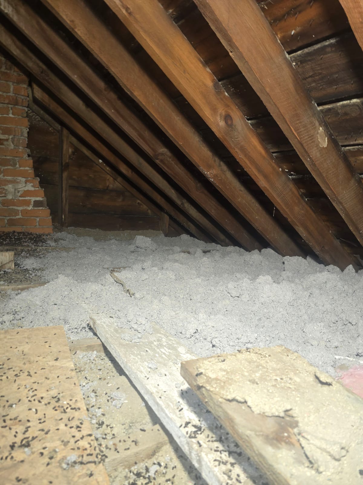 Existing blown-in cellulose insulation at shallow depth along the eaves of a Vaughan attic, with exposed rafters and brick chimney — the kind of condition a grant-eligible insulation assessment documents