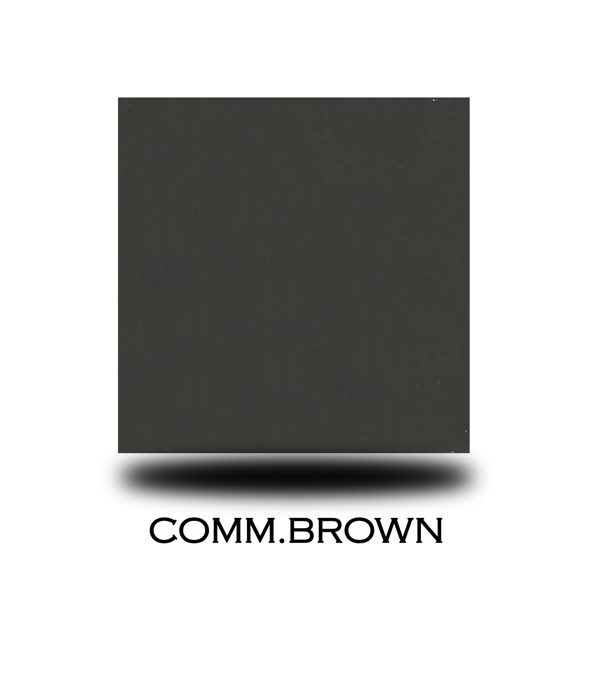 Steel door factory-applied colour finish sample 16 — Trust Build Ontario