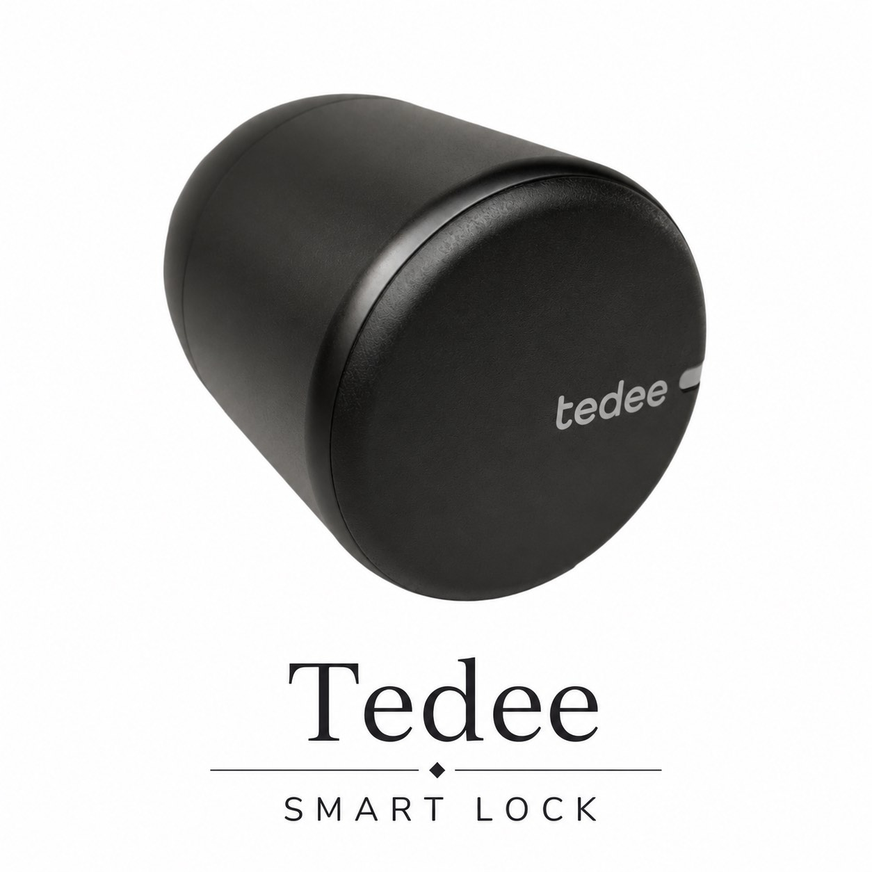 Ferco Tedee smart lock in black