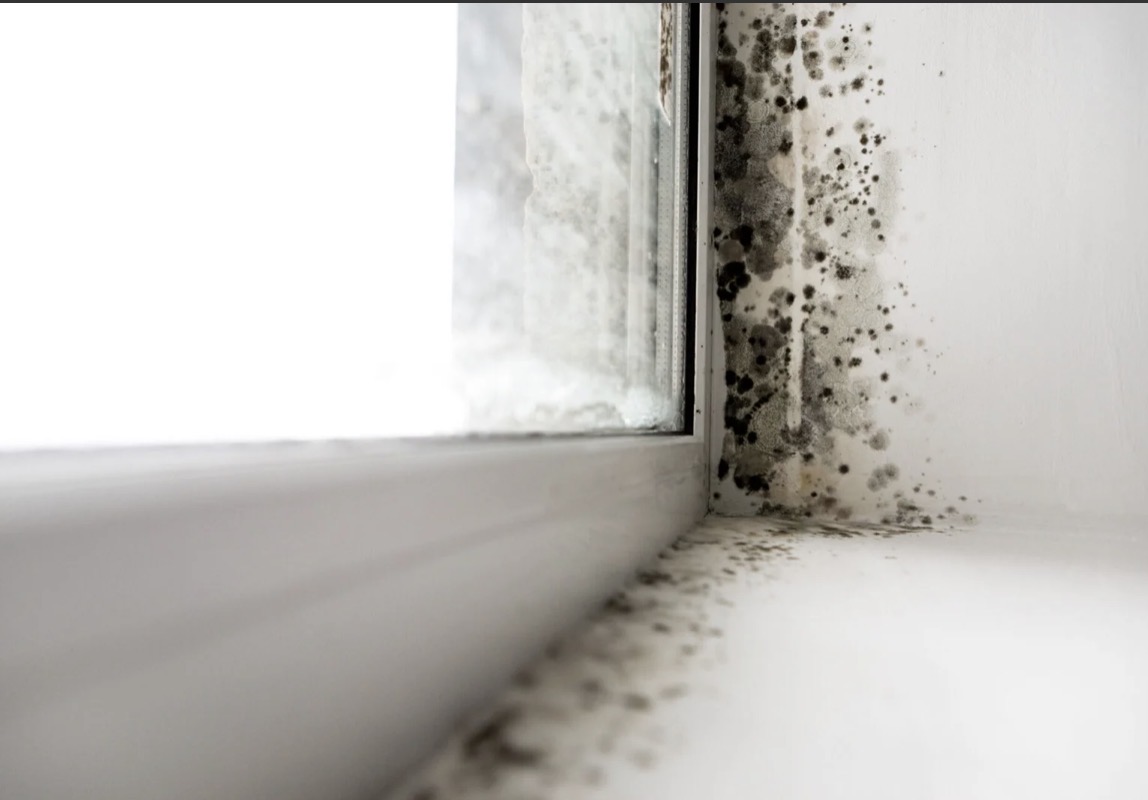 Black mould spreading from a window frame onto the adjacent wall and sill in a Barrie home